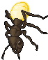 Glowing Ant.gif